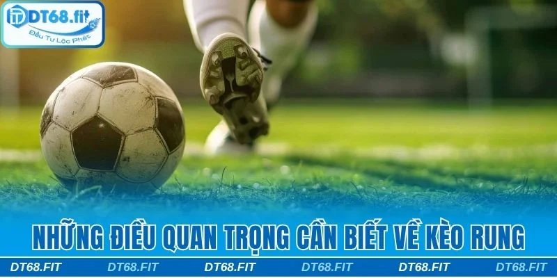 Những điều quan trọng cần biết về kèo rung